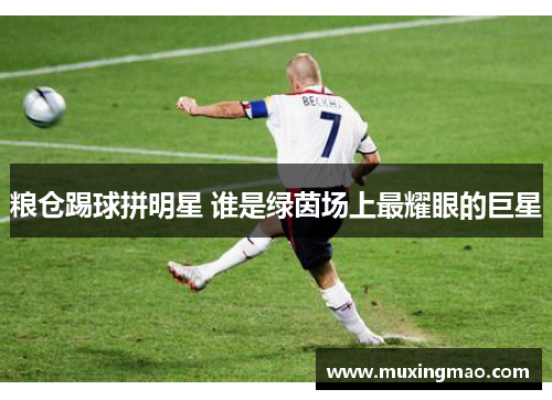 粮仓踢球拼明星 谁是绿茵场上最耀眼的巨星