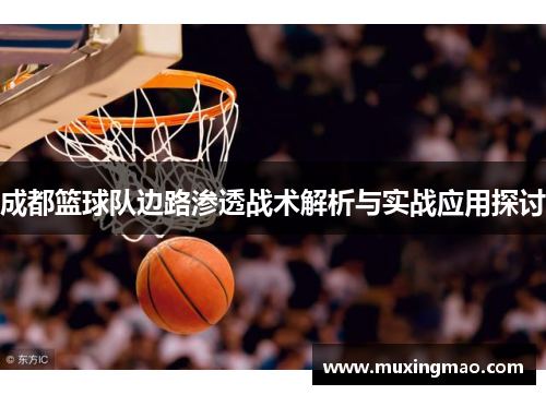 成都篮球队边路渗透战术解析与实战应用探讨