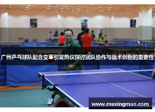 广州乒乓球队配合变革引发热议探讨团队协作与战术创新的重要性